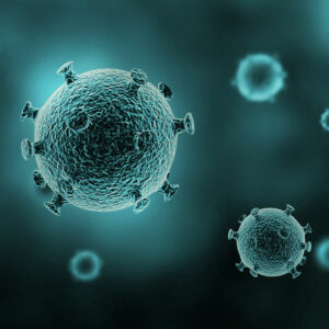 4 of the most common infectious diseases