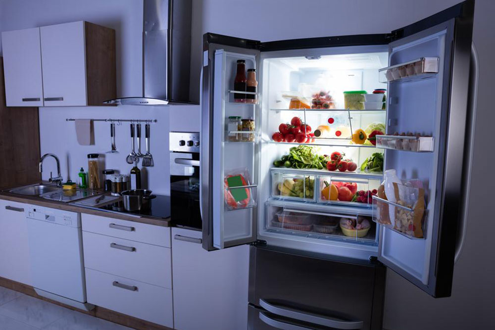 4 useful refrigerator replacement parts