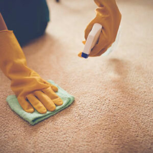 5 benefits of carpet cleaning services