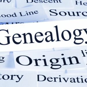 Explore your roots &#8211; Genealogy