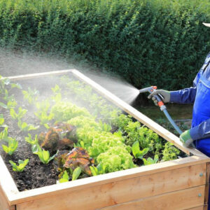 Four smart tips that every newbie gardener should know