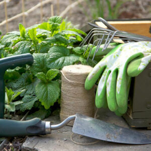 Garden Tools for Gorgeous Outdoors