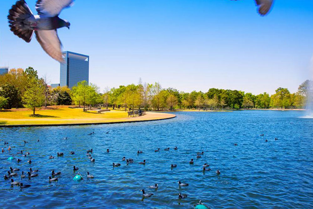 Here&#8217;s what you will find in the Texas waters during summer and spring