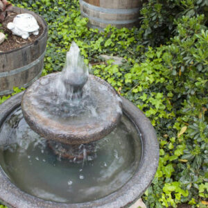 Popular types of water fountains you should know about