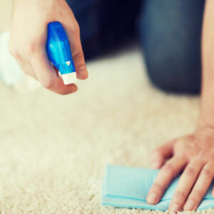 Some vital facts about carpets you should know