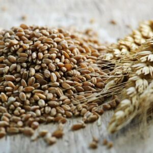 Why You Need to Add Wheat Berries to Your Diet