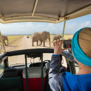 3 African safaris that will offer the best adventure