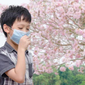 Get Relief from Pollen Allergy Using These Effective Tips